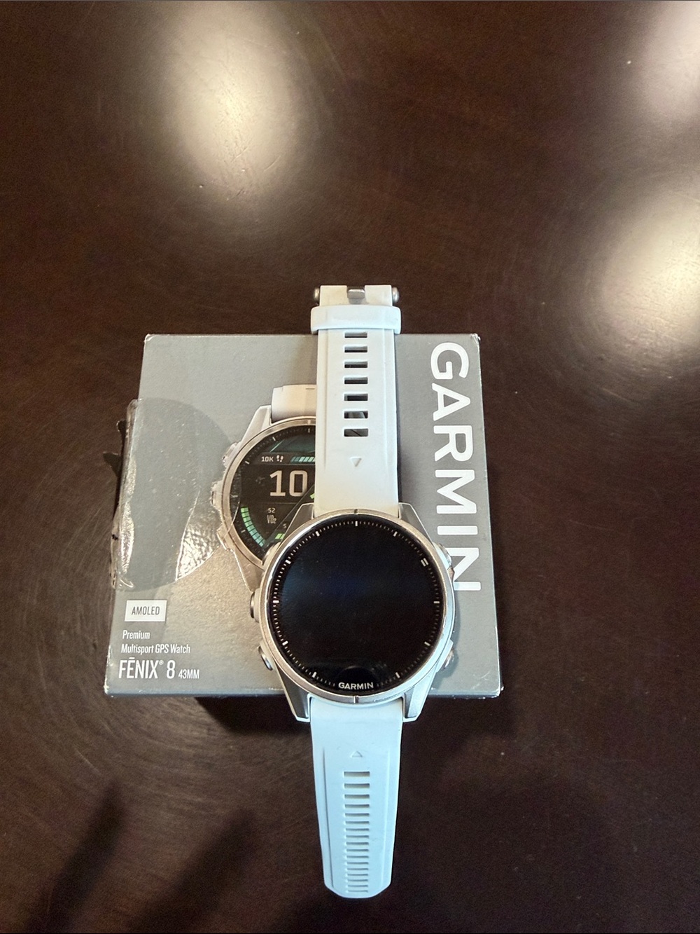 garmin Fenix 8 Smartwatch - White